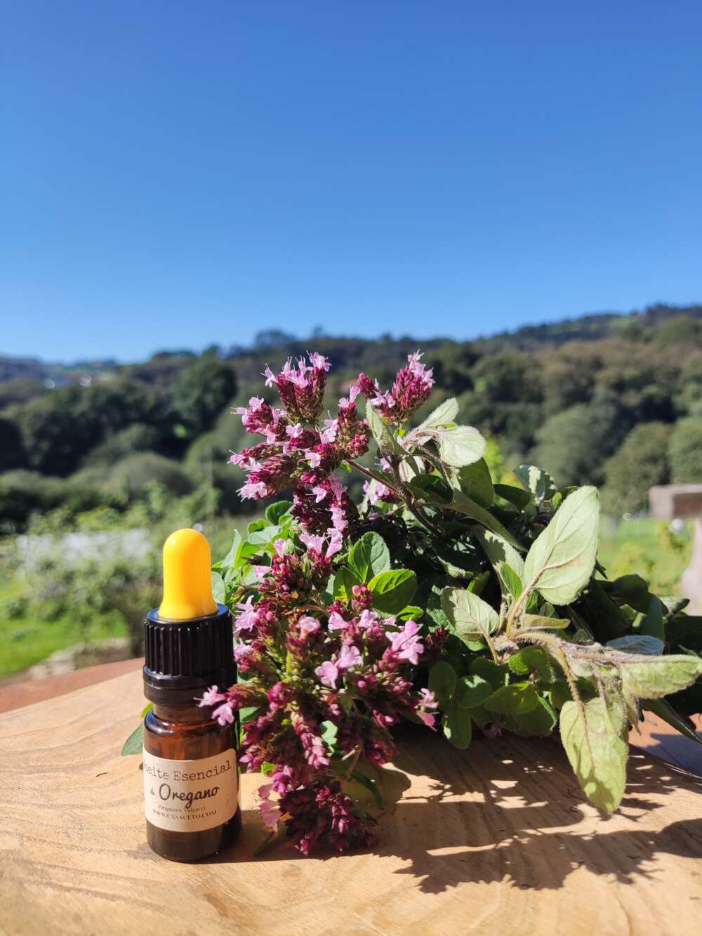 aceite esencial de oregano 5ml