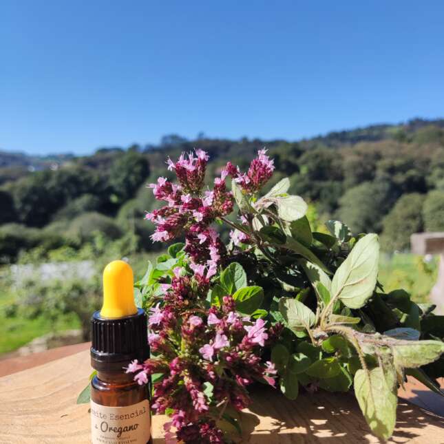 aceite esencial de oregano 5ml