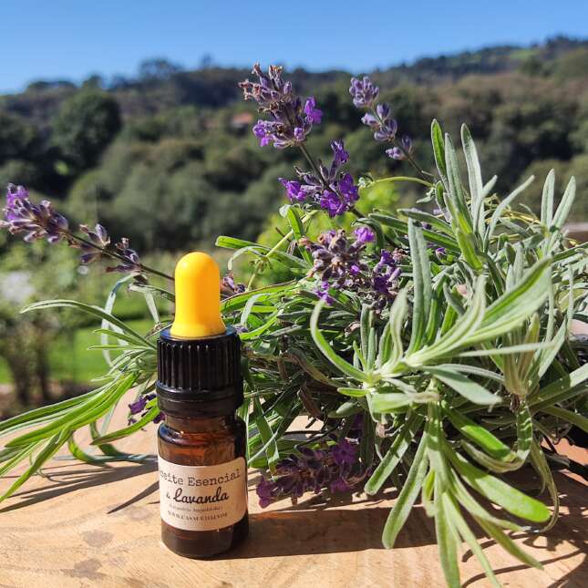 aceite esencial de lavanda 5ml