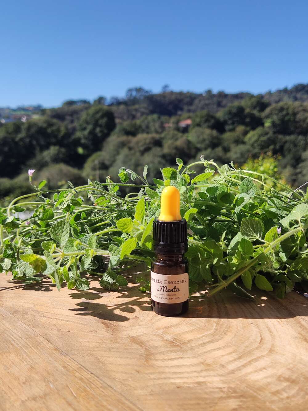 aceite esencial de menta 5ml