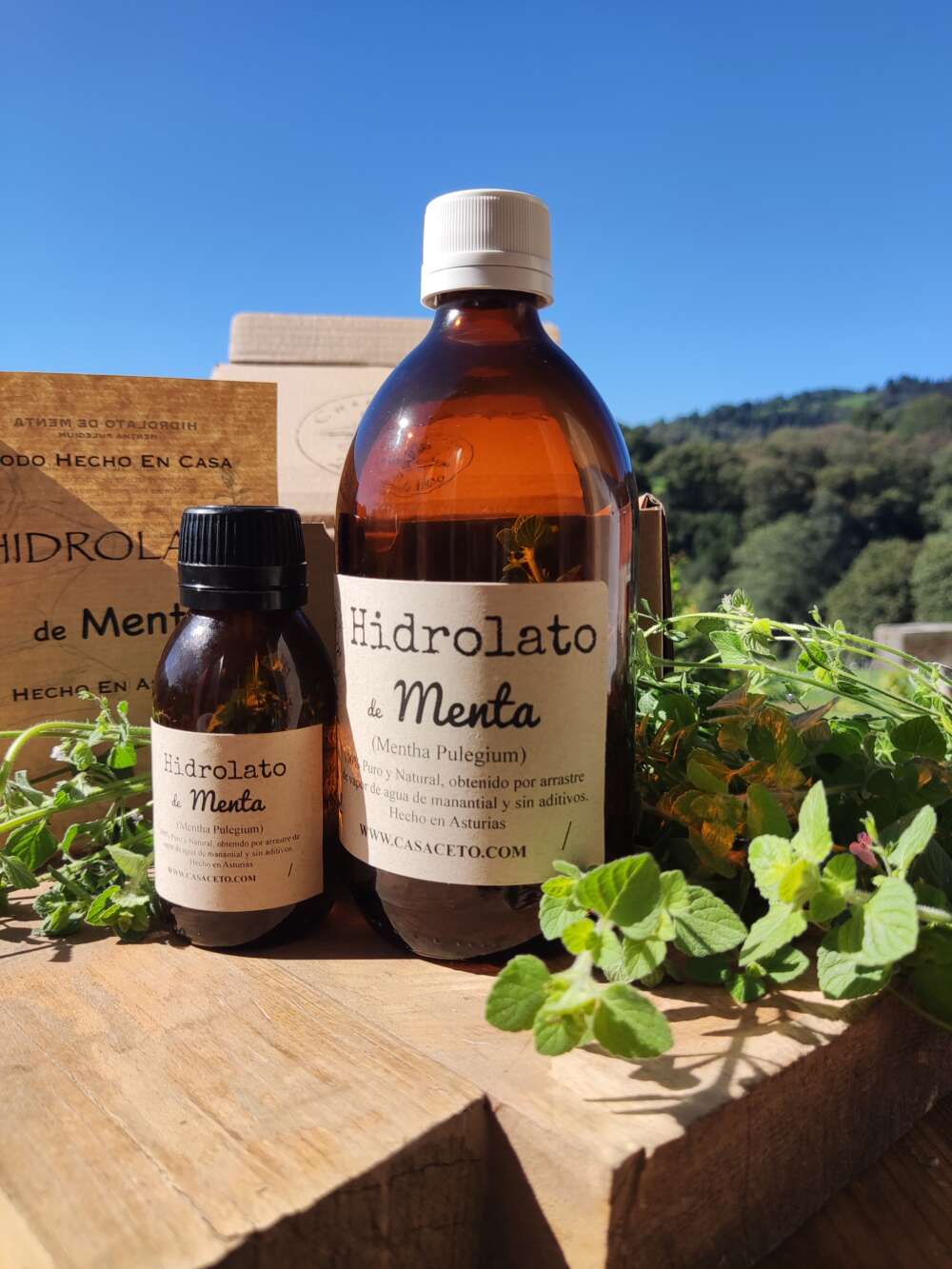 hidrolato de menta 100ml hidrolato de menta 500ml agua floral de menta100ml agua floral menta 500ml