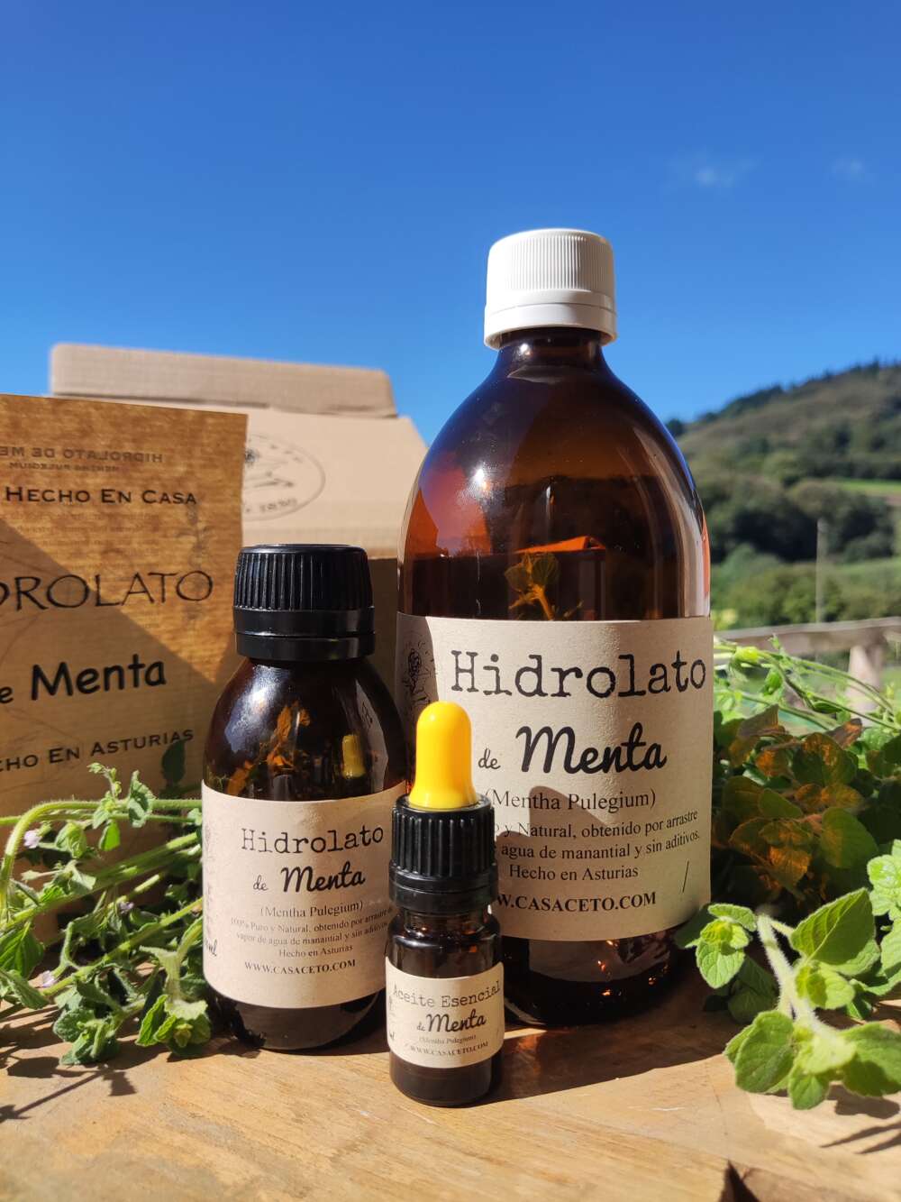 hidrolato de menta 100ml hidrolato de menta 500ml agua floral de menta 100ml agua floral menta 500ml aceite esencial de menta 5ml