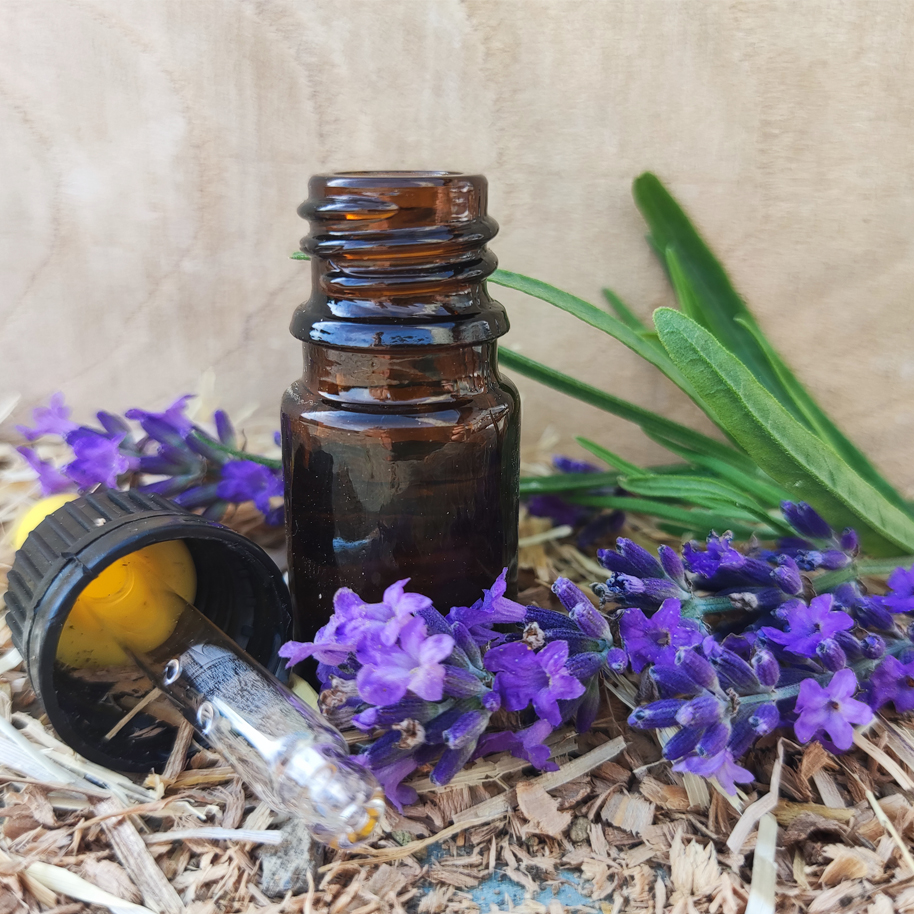 AE lavanda