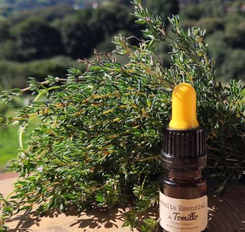 Aceite Esencial de Tomillo