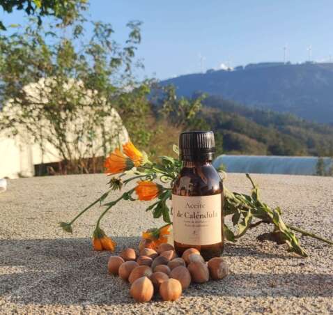 Aceite de Caléndula