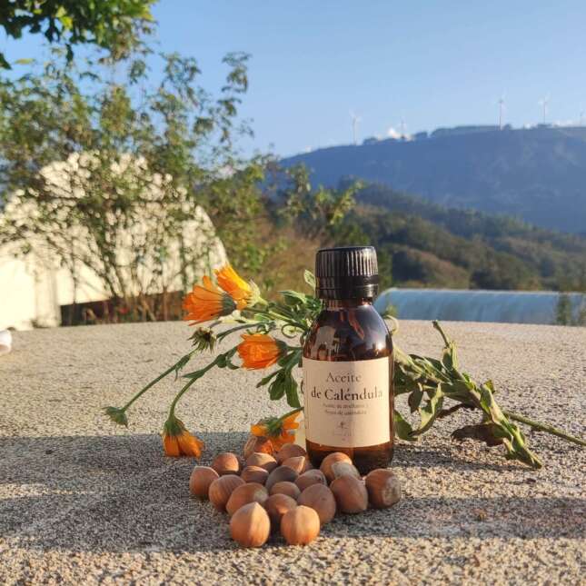 Aceite de Caléndula
