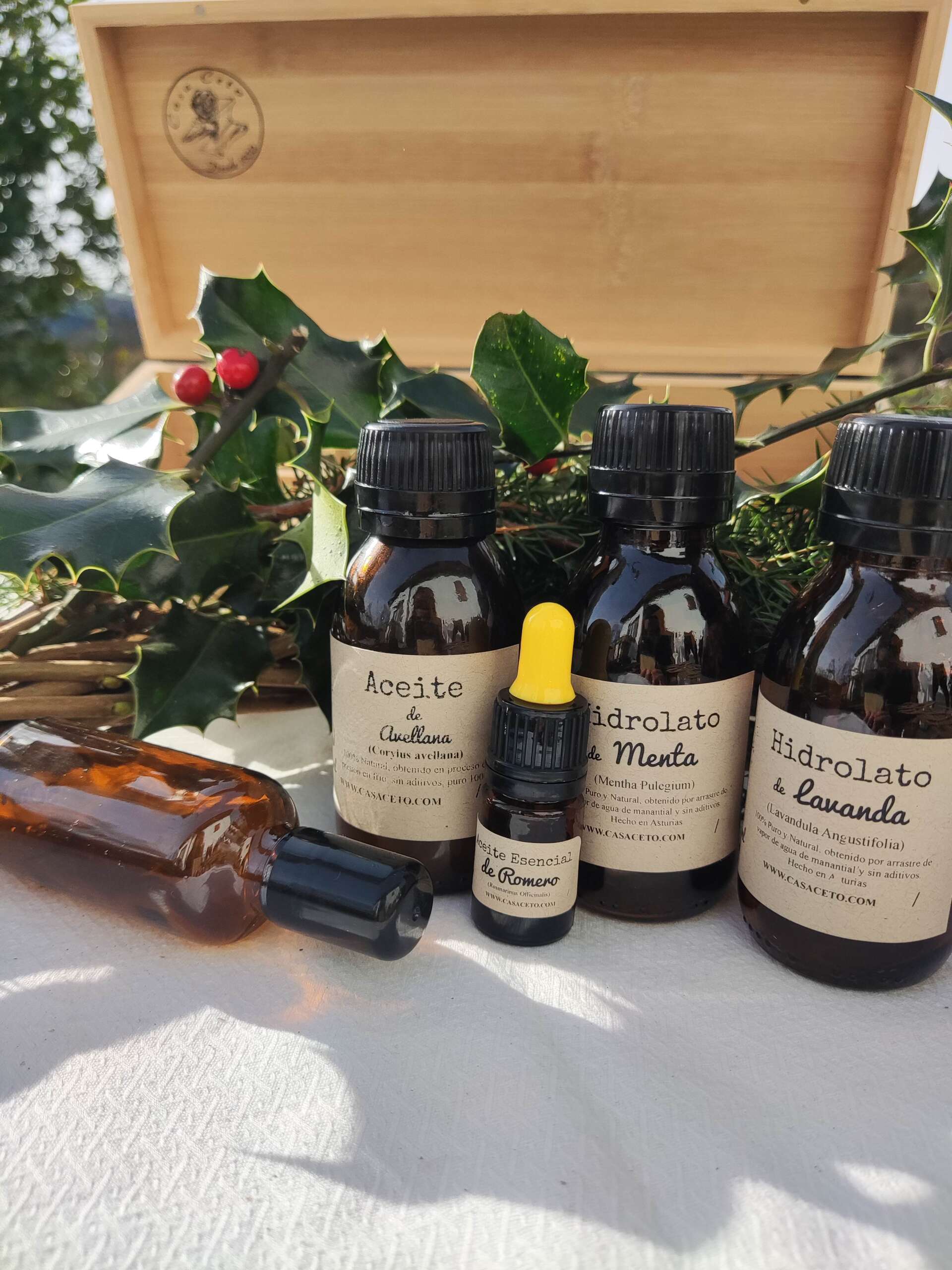 Pack Navidad Premium 2