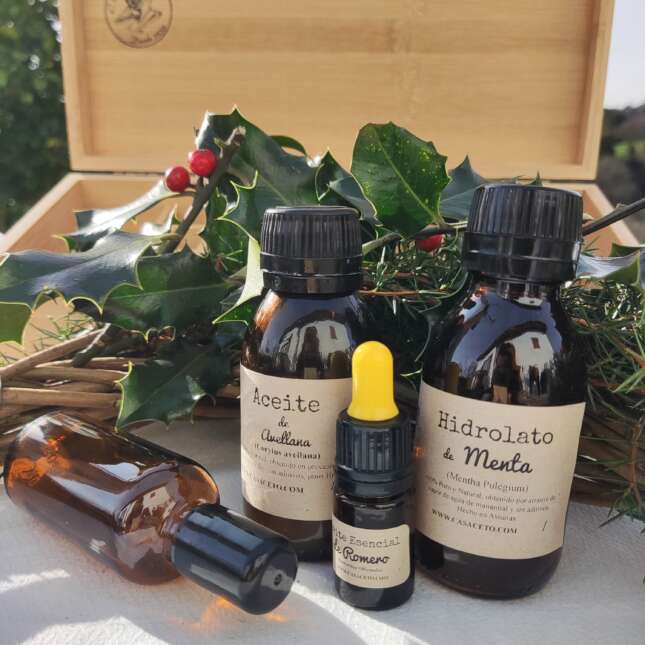 Pack Navidad Premium 1