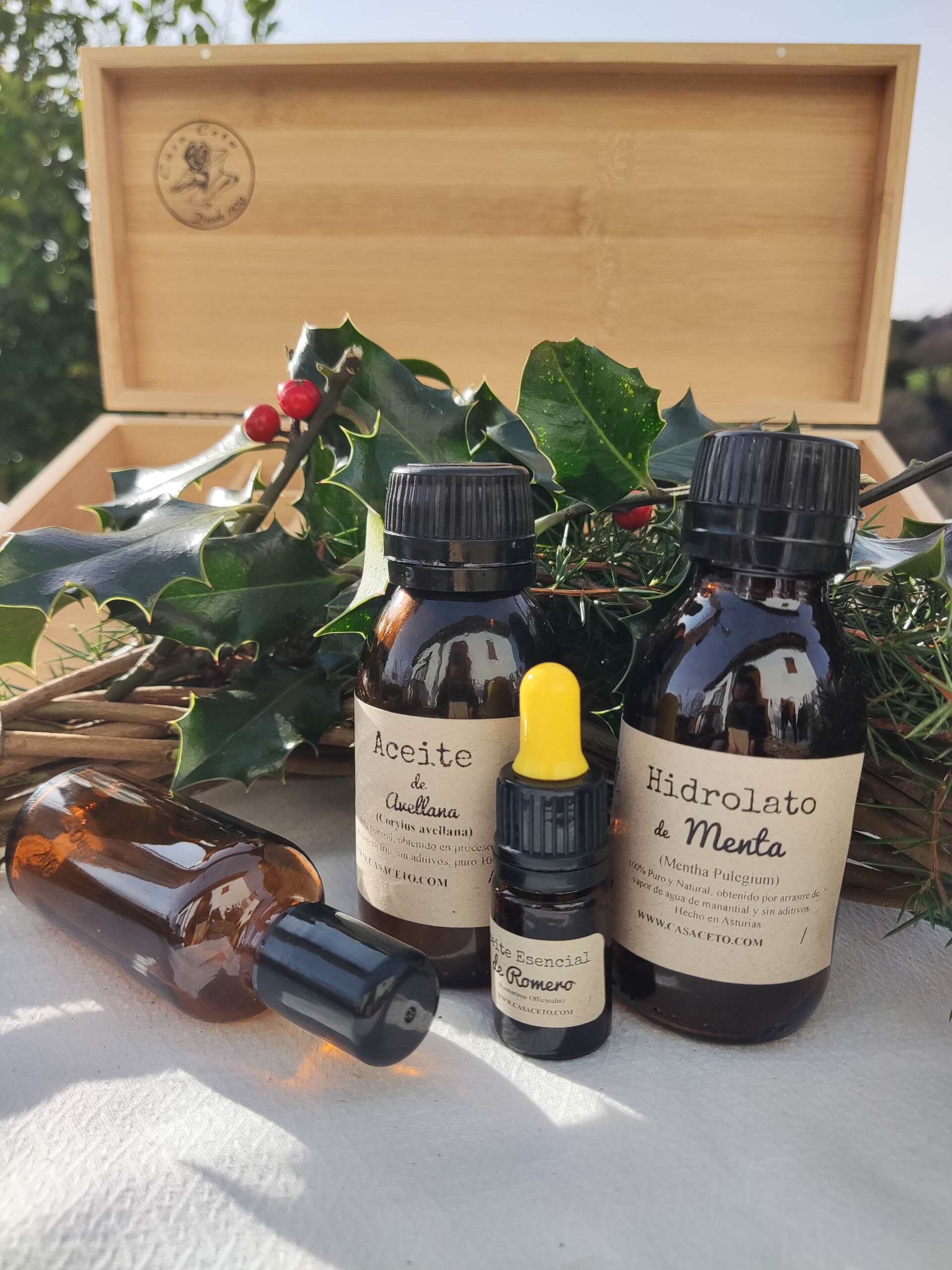 Pack Navidad Premium 1