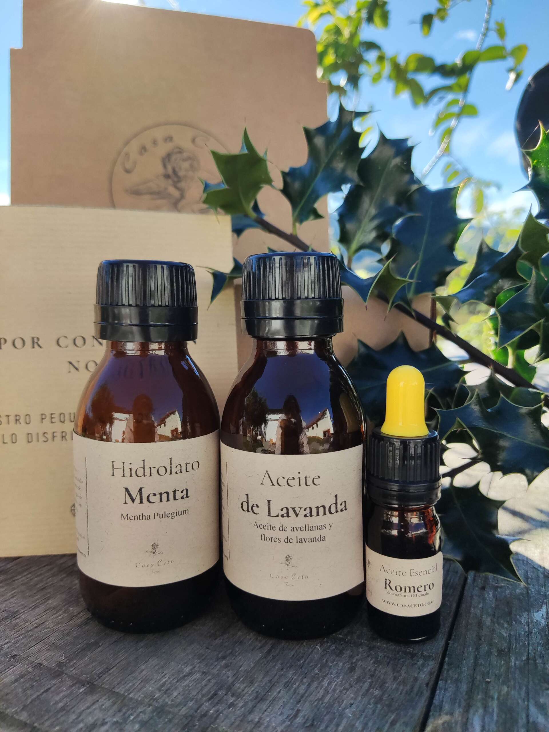 Pack Navidad número 2